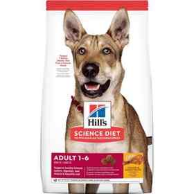 Dog Food & Kibble